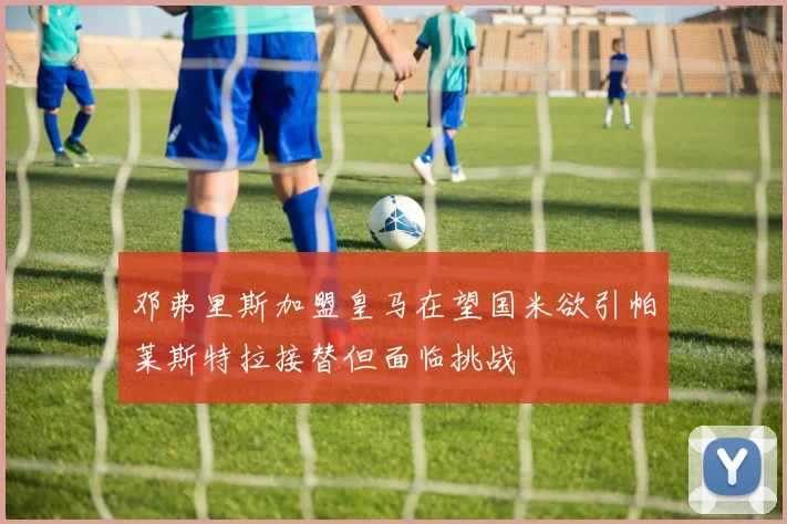 邓弗里斯加盟皇马在望国米欲引帕莱斯特拉接替但面临挑战