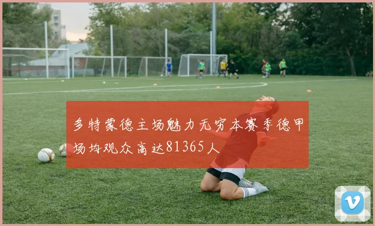 多特蒙德主场魅力无穷本赛季德甲场均观众高达81365人