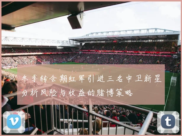 冬季转会期红军引进三名中卫新星分析风险与收益的赌博策略